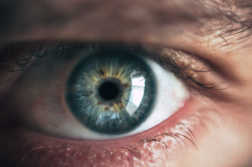 Nahaufnahme eines menschlichen Auges mit bläulicher Iris und klarer Pupille.